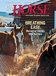 The Horse December 2016