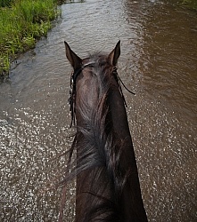 Horse Country Campground Water Crossing