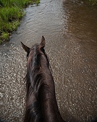 Horse Country Campground Water Crossing