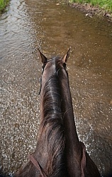 Horse Country Campground Water Crossing