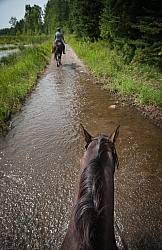 Horse Country Campground Water Crossing