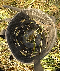 Muzzling Grazing Muzzle