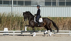 Jaimey Irwin and Donegal V