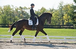 Jaimey Irwin and Donegal V