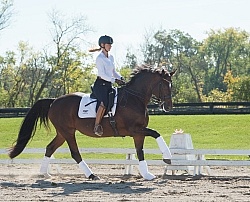 Tina irwin and Fancy That