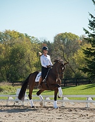 Tina irwin and Fancy That