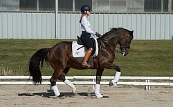 Tina irwin and Fancy That