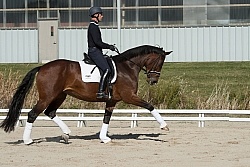 Jaimey Irwin and Roche Flor