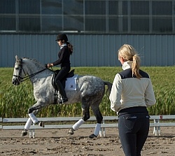 Tina teaching Alexandra