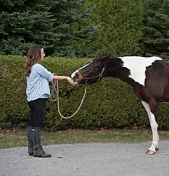 Rehab Rehab Strengthening Exercises