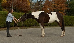 Rehab Rehab Strengthening Exercises