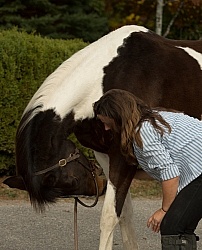 Rehab Rehab Strengthening Exercises