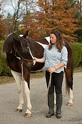 Rehab Rehab Strengthening Exercises