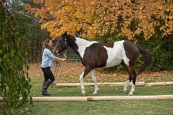 Rehab Rehab Strengthening Exercises