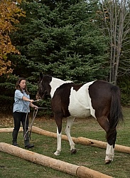 Rehab Rehab Strengthening Exercises