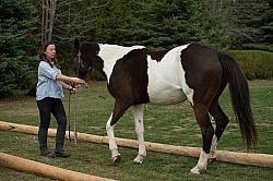 Rehab Rehab Strengthening Exercises