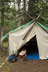 Tent