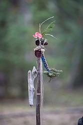 Collective Momentum to Terri