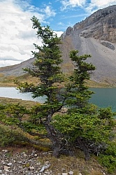 Lost Guide Lake Lost Guide Lake, Wild Deuce Women's Retreat