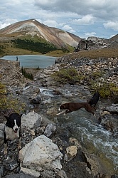 Lost Guide Lake Lost Guide Lake, Wild Deuce Women's Retreat