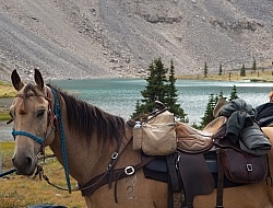 Lost Guide Lake Lost Guide Lake, Wild Deuce Women's Retreat