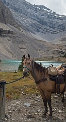 Lost Guide Lake Lost Guide Lake, Wild Deuce Women's Retreat