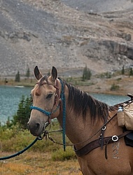 Lost Guide Lake, Wild Deuce Women's Retreat