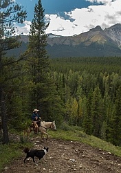 On the Trail On the Trail with Wild Deuce Outfitters