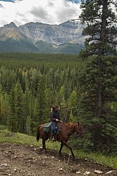 On the Trail On the Trail with Wild Deuce Outfitters