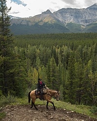 On the Trail On the Trail with Wild Deuce Outfitters