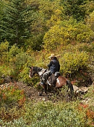 On the Trail On the Trail with Wild Deuce Outfitters On the Trail On the Trail with Wild Deuce Outfitters