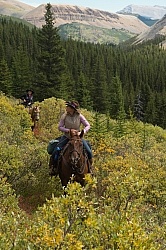 On the Trail On the Trail with Wild Deuce Outfitters On the Trail On the Trail with Wild Deuce Outfitters