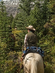 On the Trail On the Trail with Wild Deuce Outfitters On the Trail On the Trail with Wild Deuce Outfitters