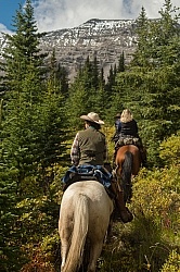 On the Trail On the Trail with Wild Deuce Outfitters