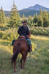 On the Trail On the Trail with Wild Deuce Outfitters On the Trail On the Trail with Wild Deuce Outfitters