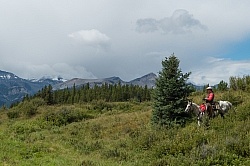 On the Trail On the Trail with Wild Deuce Outfitters On the Trail On the Trail with Wild Deuce Outfitters