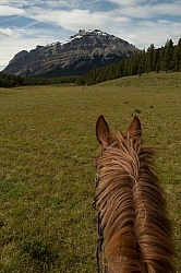 On the Trail On the Trail with Wild Deuce Outfitters On the Trail On the Trail with Wild Deuce Outfitters
