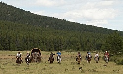 The Meadow Gallop On the Trail with Wild Deuce Outfitters