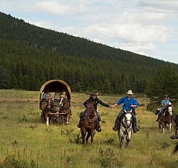 The Meadow Gallop On the Trail with Wild Deuce Outfitters