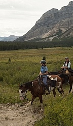 On the Trail On the Trail with Wild Deuce Outfitters On the Trail On the Trail with Wild Deuce Outfitters