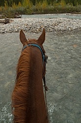 River Crossing with Wild Deuce Women's Retreat