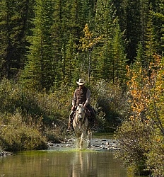 River Crossing with Wild Deuce Women's Retreat