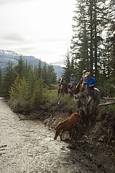 River Crossing with Wild Deuce Women's Retreat