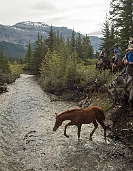 River Crossing with Wild Deuce Women's Retreat