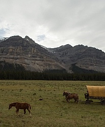 The Chuckwagon On the Trail at Wild Deuce Women's Retreat