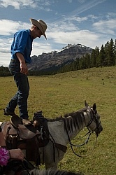 Josh s Tricks Trick Riders