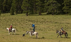 Josh s Tricks Trick Riders