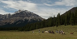 Josh s Tricks Trick Riders