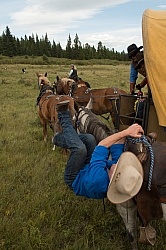 Joshuas Tricks Trick Riders