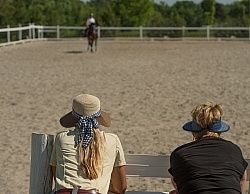 Horse Shopping,Watching Being Ridden